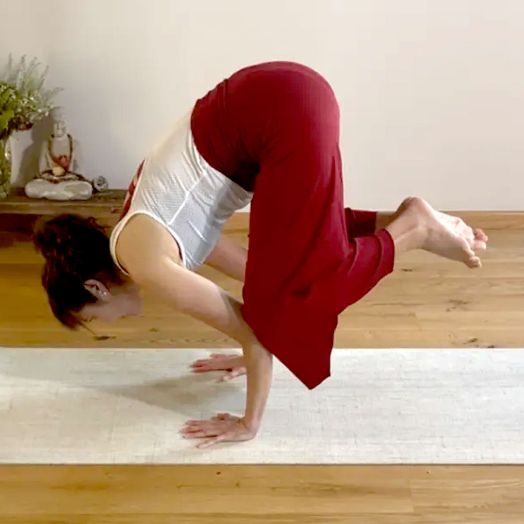 Yogalehrerin zeigt Kakasana, die Kraäe in einem Workshop vom YogaWerk
